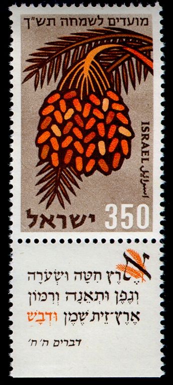 Dates (Phoenix dactylifera)