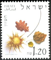 Heshvan