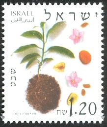 Shevat