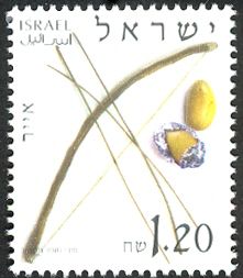 Iyar