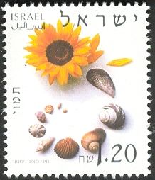 Tammuz