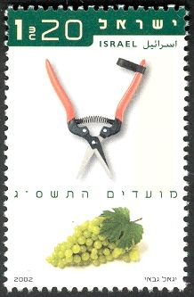 Grape Scissors and Bunch of Grapes