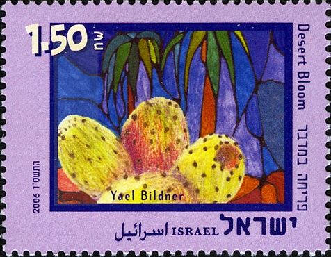 Desert Bloom, by Yael Bildner