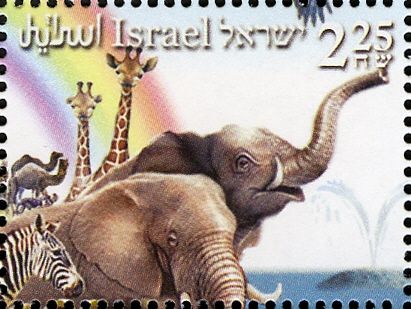 Camels, Giraffes, Zebra, Elephants, Whale