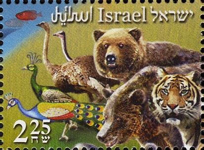 Peafowl, Bears, Tiger, Ostrich