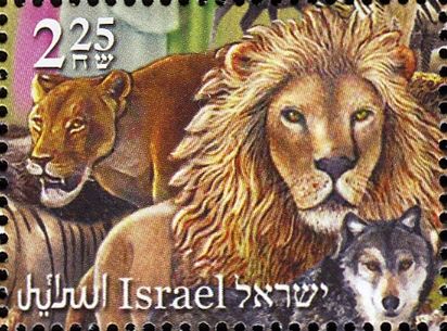 Lions, Wolf