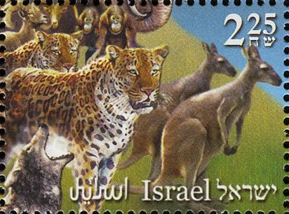 Wolf, Leopards, Goats, Kangaroos, Monkeys