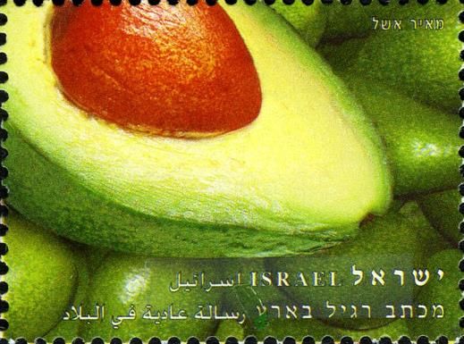 Avocado