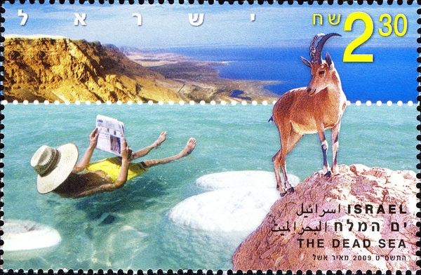 The Dead Sea