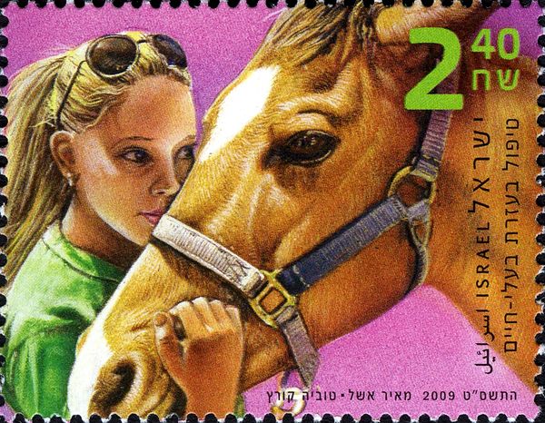 Girl and horse