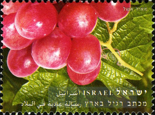 Grapes