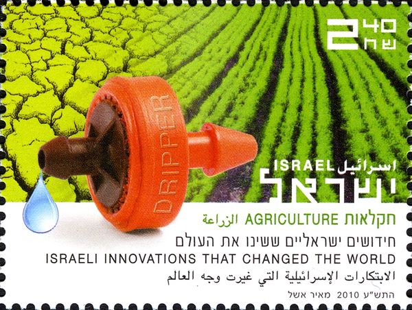 Dripper Irrigation System and Crops