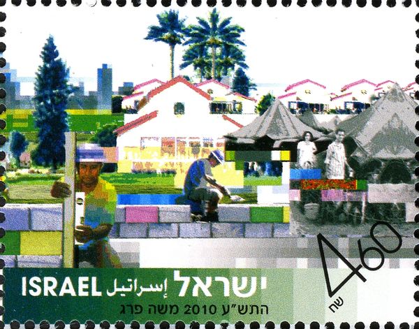 Housing Construction on a Settlement