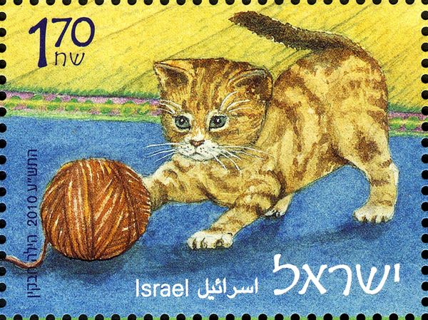 Kittens (Felis silvestris catus)