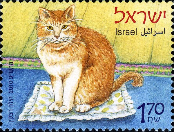 Kittens (Felis silvestris catus)