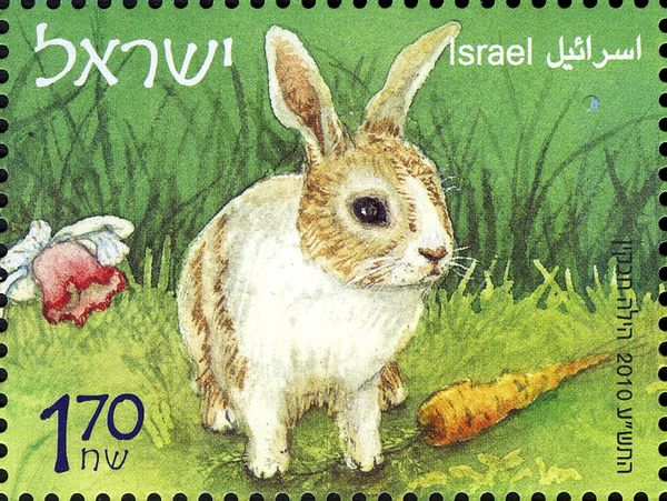 Domestic Rabbit (Oryctolagus cuniculus domesticus)