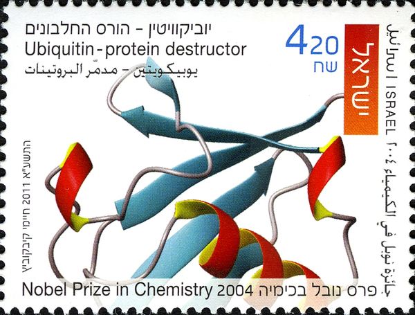 Ubiquitin - Protein Destructor Nobel Prize in Chemistry 2004