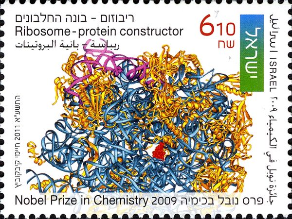 Ribosome - Protein Constructor Nobel Prize Chemistry 2009