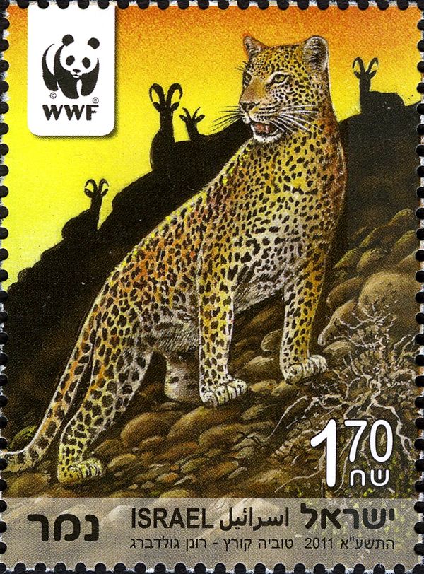 Persian Leopard (Panthera pardus saxicolor)