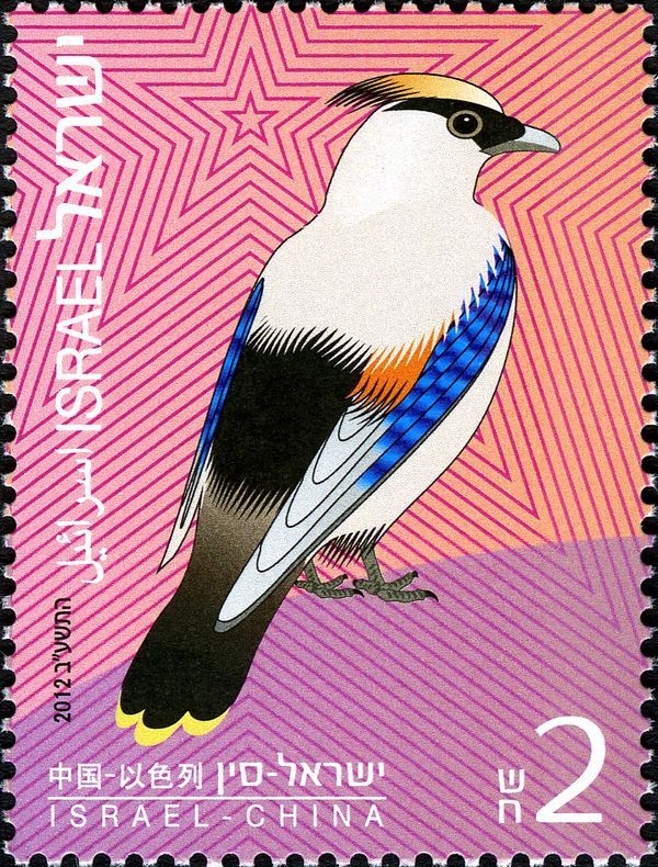 Bohemian Waxwing (Bombycilla garrulus)