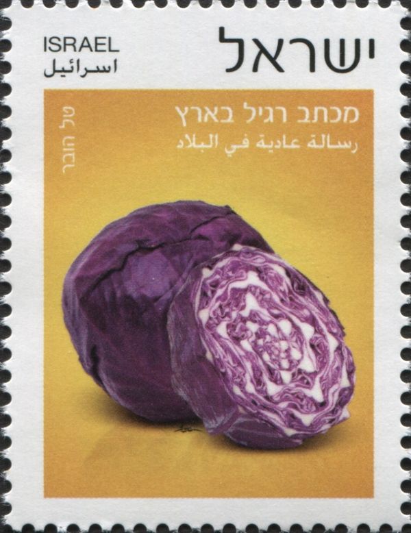 Purple Cabbage
