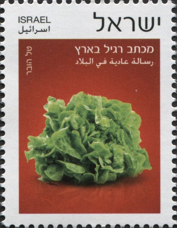 Lettuce