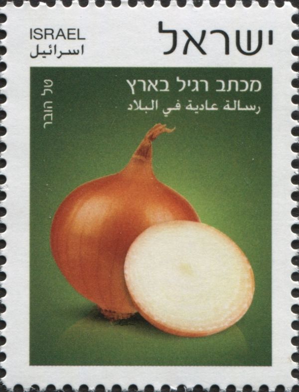 Onion