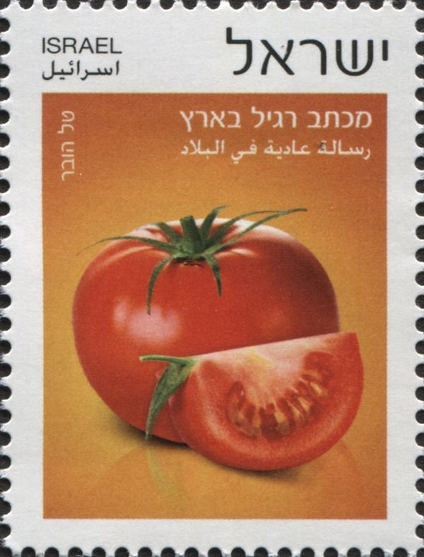 Tomato