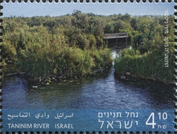 Taninim River