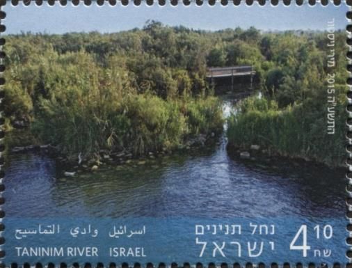 Taninim River
