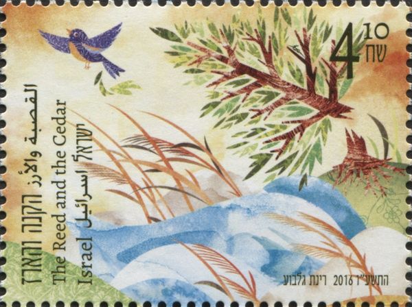 The Reed and the Cedar