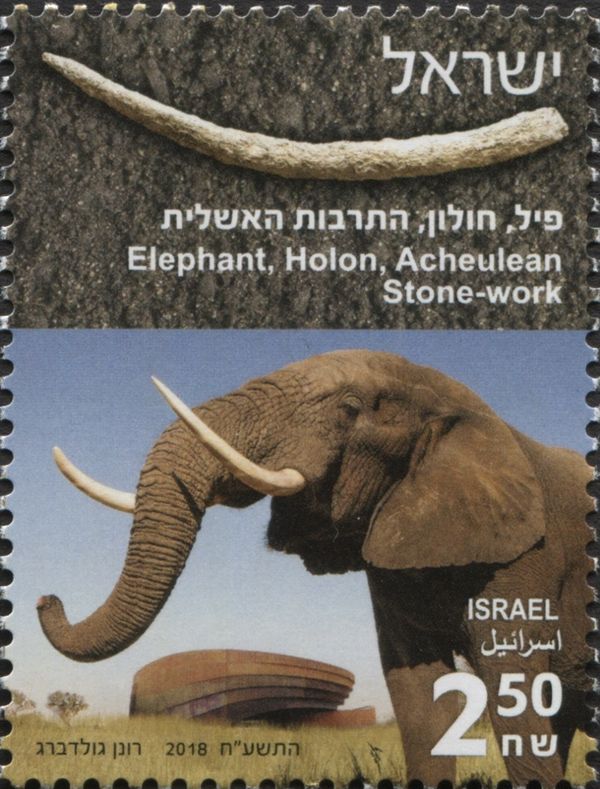 Elephant, Holon and Acheulean Stone Work