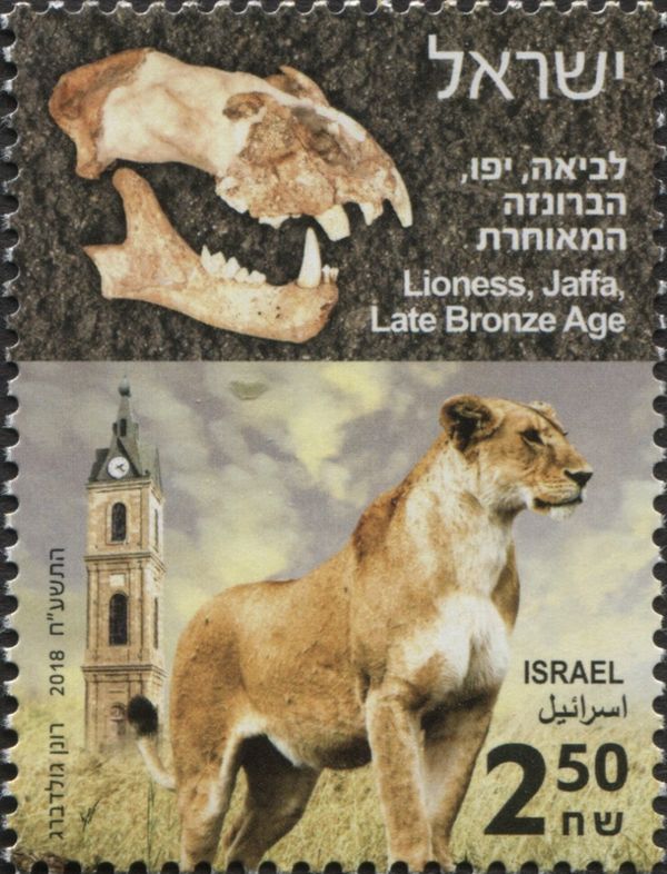 Lioness, Jaffa and Skull, Late Bronze Age
