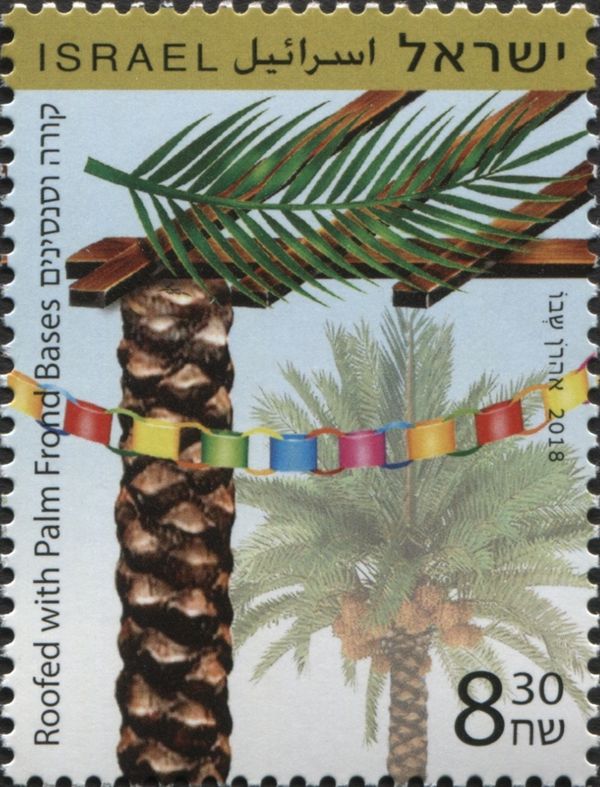 Palm Frond Bases as Roofing
