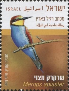 European Bee-Eater (Merops apiaster)