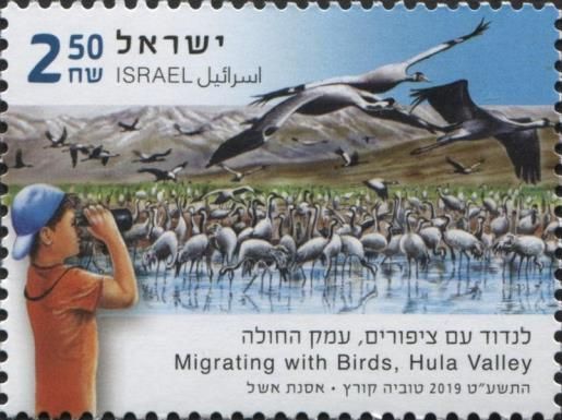 Migratory Bird Watching, Hula Valley