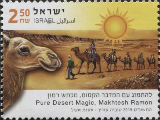 Camel Caravan in Mahktesh Ramon