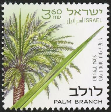Palm Branch (Phoenix sp)