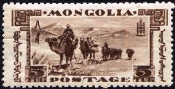 Camel Caravan