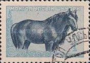 Mongolian Horse (Equus ferus caballus)