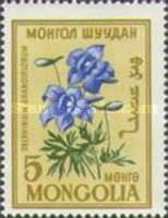 Delphinium grandiflorum