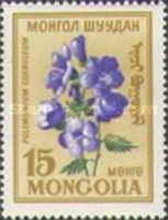 Polemonium caeruleum