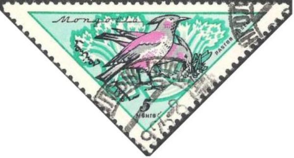 Rosy Starling (Pastor roseus)