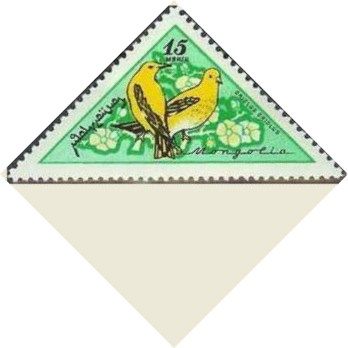 Golden Oriole (Oriolus oriolus)