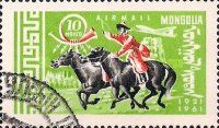 Postman on Horse (Equus ferus caballus)