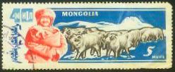 Aries (Ovis ammon aries)
