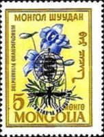 Delphinium grandiflorum overprinted