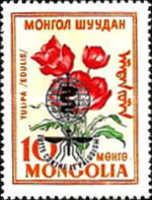 Tulipa edulis overprinted
