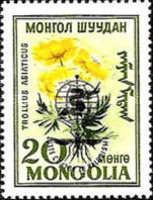 Trollius asiaticus overprinted
