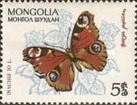 European peacock (Inachis io)